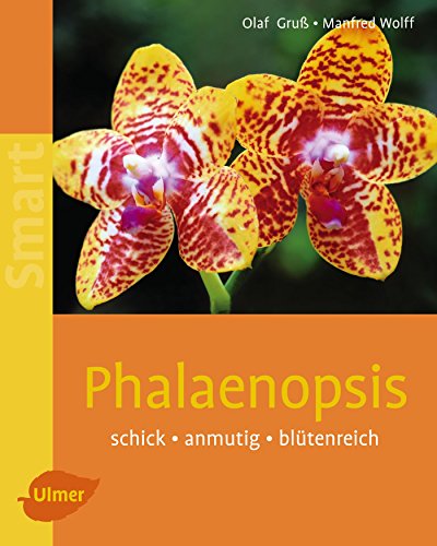 Phalaenopsis - Schick - anmutig - blütenreich (SMART)